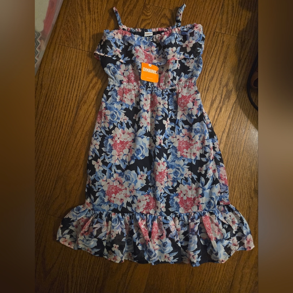 Gymboree Floral Kids Dress - Blue and Pink